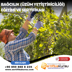 Bağcılık (Üzüm Yetiştiriciliği) Eğitimi ve Sertifikası