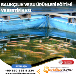 Balıkçılık ve Su Ürünleri Eğitimi ve Sertifikası