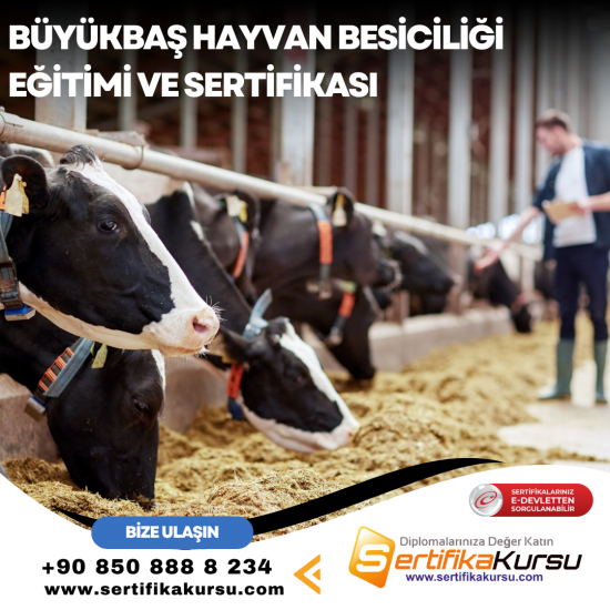 Büyükbaş Hayvan Yetiştiriciliği Eğitimi ve Sertifikası Büyükbaş Hayvan Yetiştiriciliği Eğitimi ve Sertifikası
