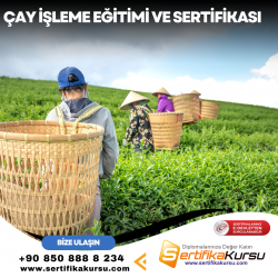 Çay İşleme Eğitimi ve Sertifikası