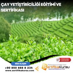 Çay Yetiştiriciliği Eğitimi ve Sertifikası