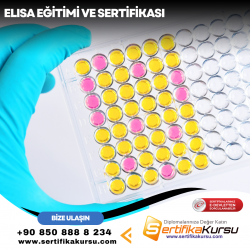 ELISA Eğitimi ve Sertifikası