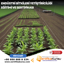 Endüstri Bitkileri Yetiştiriciliği Eğitimi ve Sertifikası