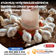 Etlik Piliç Yetiştiriciliği Eğitimi ve Sertifikası (Ziraat Bankası Kredi Başvurusuna Uygun)