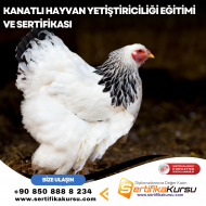 Kanatlı Hayvan Yetiştiriciliği Eğitimi ve Sertifikası