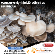 Mantar Yetiştiriciliği Eğitimi ve Sertifikası