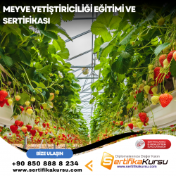 Meyve Yetiştiriciliği Eğitimi ve Sertifikası