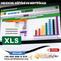 MS Excel Eğitimi ve Sertifikası