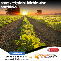 Sebze Yetiştiriciliği Eğitimi ve Sertifikası