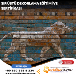Sır Üstü Dekorlama Eğitimi ve Sertifikası