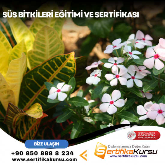 Süs Bitkileri Eğitimi ve Sertifikası Süs Bitkileri Eğitimi ve Sertifikası