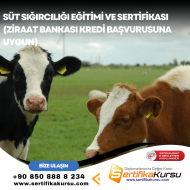 Süt Sığırcılığı Eğitimi ve Sertifikası (Ziraat Bankası Kredi Başvurusuna Uygun)