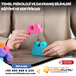 Temel Psikoloji ve Davranış Bilimleri Eğitimi ve Sertifikası