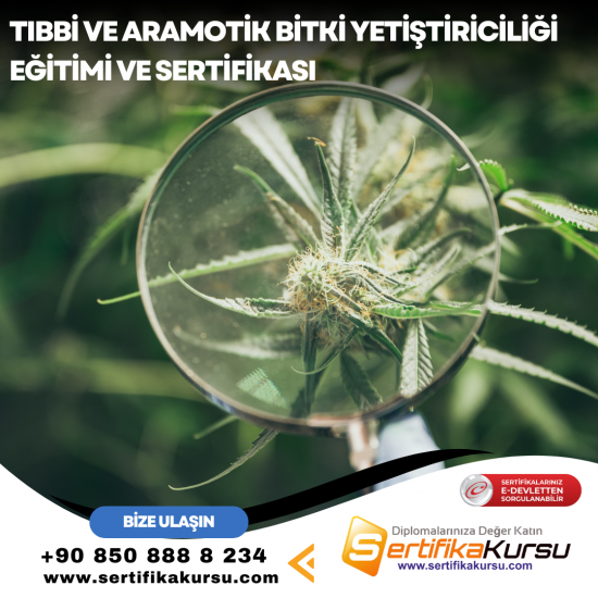 Tıbbi ve Aramotik Bitki Yetiştiriciliği Eğitimi ve Sertifikası Tıbbi ve Aramotik Bitki Yetiştiriciliği Eğitimi ve Sertifikası